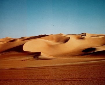 des vagues de dunes
