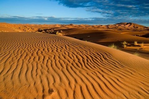 le vent fait 'frissoner' les dunes, et creuse des sillons