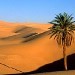 Désert Maroc (Vidas)